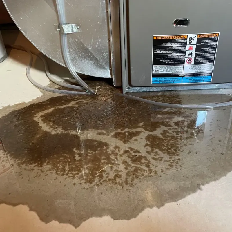 Pipe Burst and Leak Restoration in Village of Campton Hills, IL