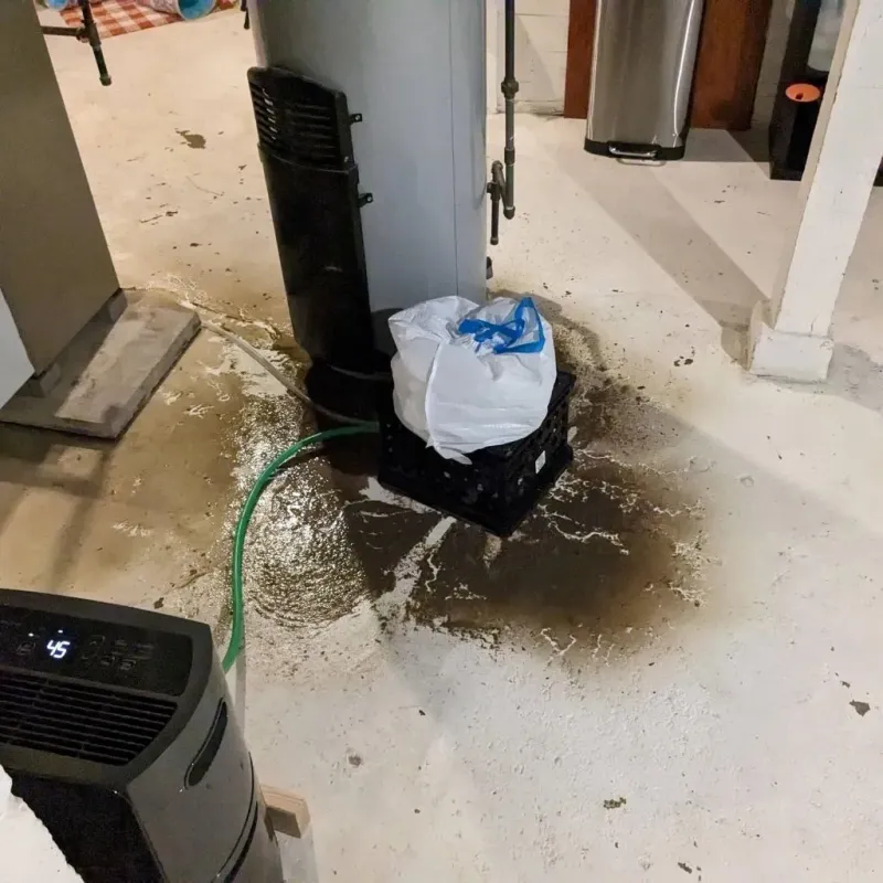 Sewage Backup Cleanup Service in Village of Campton Hills, IL